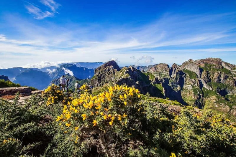 Funchal: 4x4 Jeep Trip to the East and Northeast of Madeira - Leaving Funchal: Paredão viewpoint and the first taste of the island