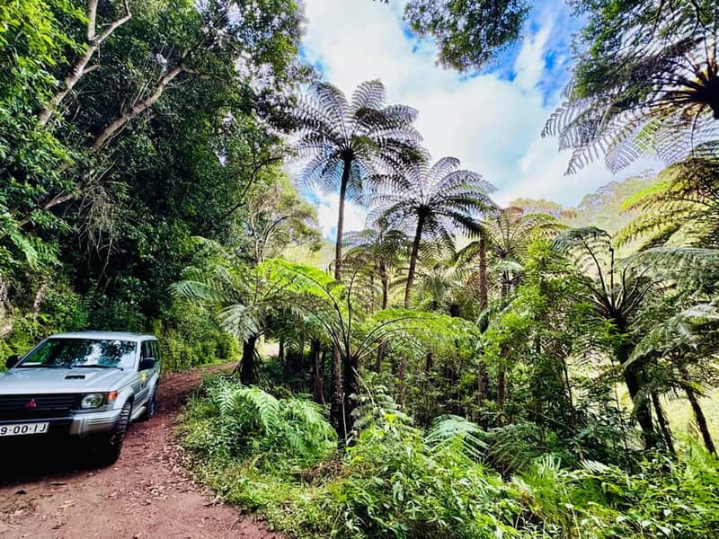 Funchal: 4x4 Jeep Trip to the East and Northeast of Madeira - Pico do Arieiro (1,818 m): big altitude views without the chaos