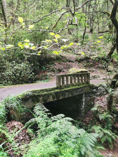 Funchal: 4x4 Jeep Trip to the East and Northeast of Madeira - Ribeiro Frio and the Balcões-style levada walk option