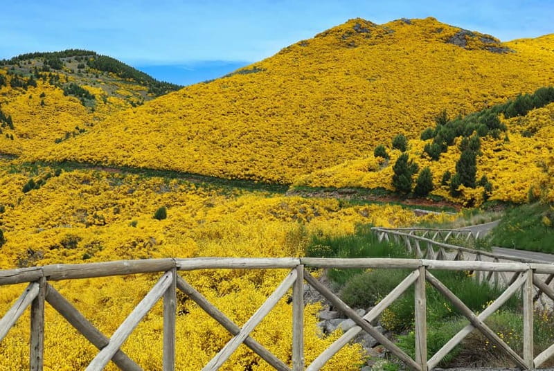 Funchal: 4x4 Jeep Trip to the East and Northeast of Madeira - Santana triangular houses: culture, quick breaks, and a choice for lunch