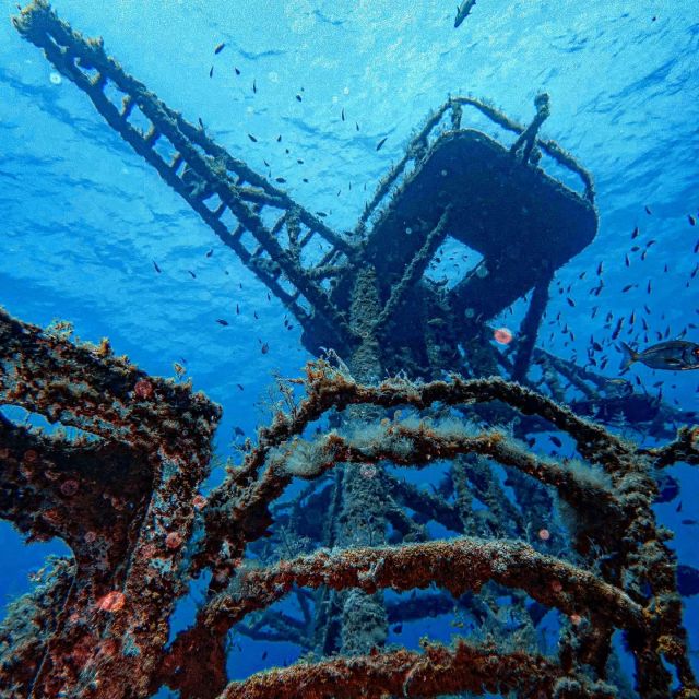 Funchal: Advanced Scuba Diving Afonso Cerqueira Wreck - The wreck experience: entering the Afonso Cerqueira structure