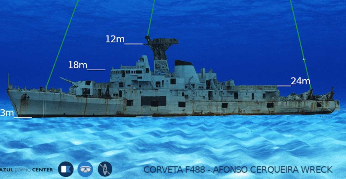 Funchal: Advanced Scuba Diving Afonso Cerqueira Wreck - Marine life in a protected reef setting (and why that’s more than a bonus)