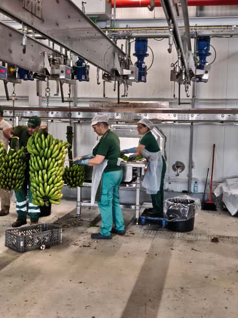 Funchal Agriculture Green Tour - Who this tour suits best (and who should skip)