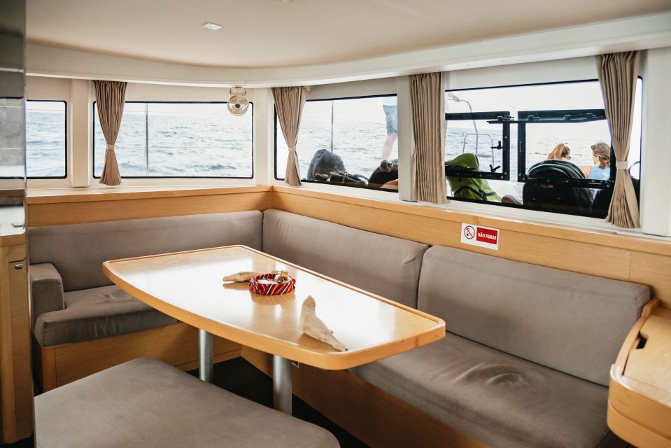Funchal Bay: Dolphin & Whale Watch Luxury Catamaran Cruise - Who should book this cruise (and who might want a different plan)
