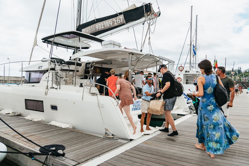 Funchal Bay: Dolphin & Whale Watch Luxury Catamaran Cruise - Dolphins and whales search: how the crew helps you spot life from the best angle