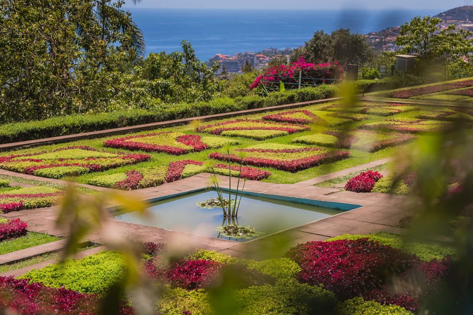 Funchal: Botanical Garden and Old Town Private Tuk-Tuk Tour - Key things I’d bookmark before you go