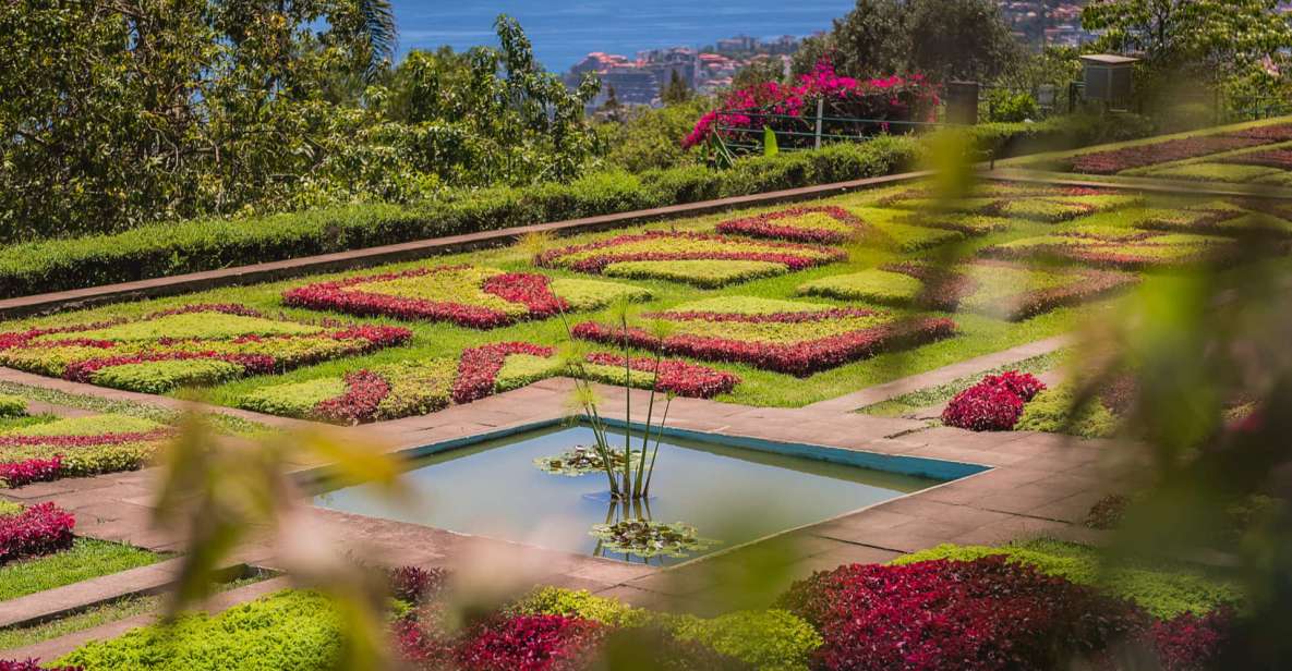 Funchal: Botanical Garden and Old Town Private Tuk-Tuk Tour - Zona Velha in a tuk-tuk: Corpo Santo Chapel and those hard-to-reach streets