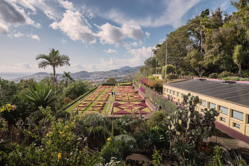 Funchal: Botanical Garden and Old Town Private Tuk-Tuk Tour - What that ticket means for your budget (7.5€ per person)