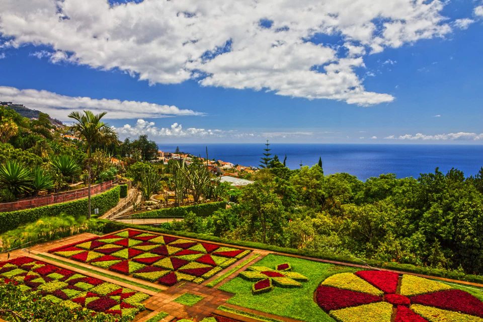 Funchal: Botanical Garden and Old Town Private Tuk-Tuk Tour - Starting in Funchal: pickup, the city feel, and what to watch for