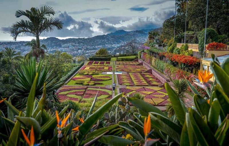 Funchal: Botanical Garden & Old Town Tour by TukTuk (1h45) - Key highlights at a glance