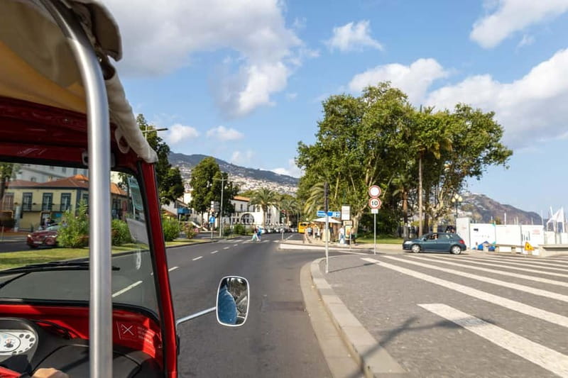 Funchal: Botanical Garden & Old Town Tour by TukTuk (1h45) - Entering the Madeira Botanical Garden: 80,000 m² with structure