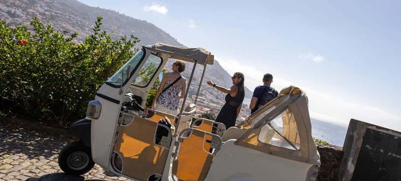Funchal: Botanical Garden & Old Town Tour by TukTuk (1h45) - Should you book this TukTuk Old Town and Botanical Garden tour?