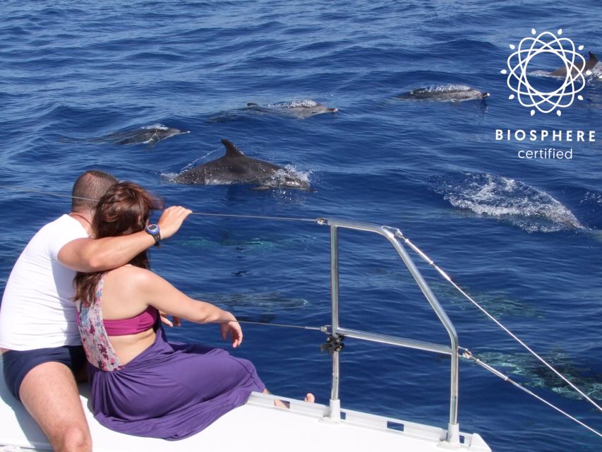 Funchal: Cabo Girão, Wines Tasting and Dolphins Watching - The Morning Jeep Loop: Funchal to 1000 Meters Up