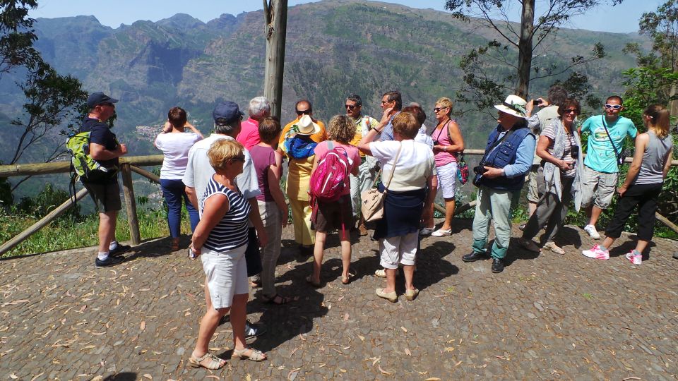 Funchal: Cabo Girão, Wines Tasting and Dolphins Watching - Catamaran Dolphins and Possible Whales: 3 Hours on the Water
