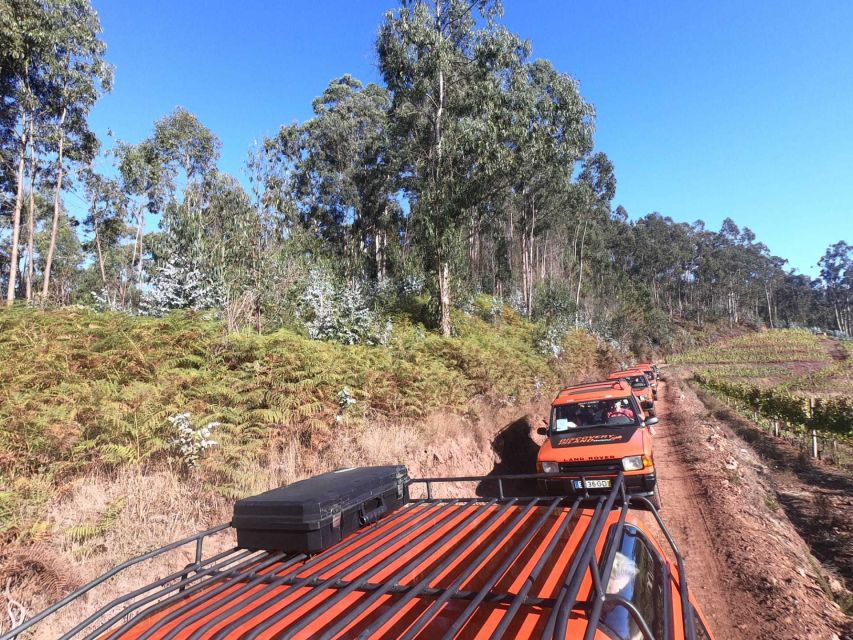 Funchal: Câmara Lobos & Girão Sea Cliff Half-Day Jeep Tour - Key things that make this jeep tour worth your time
