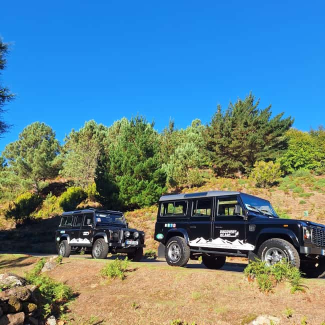 Funchal: Câmara Lobos & Girão Sea Cliff Half-Day Jeep Tour - Why a half-day jeep tour fits Madeira’s pace