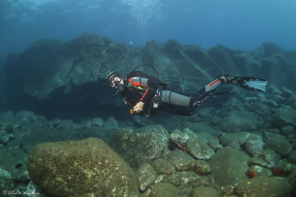 Funchal: Certified Scuba Diving, Guided Tour - Why This Shore-Scuba Session in Funchal Works