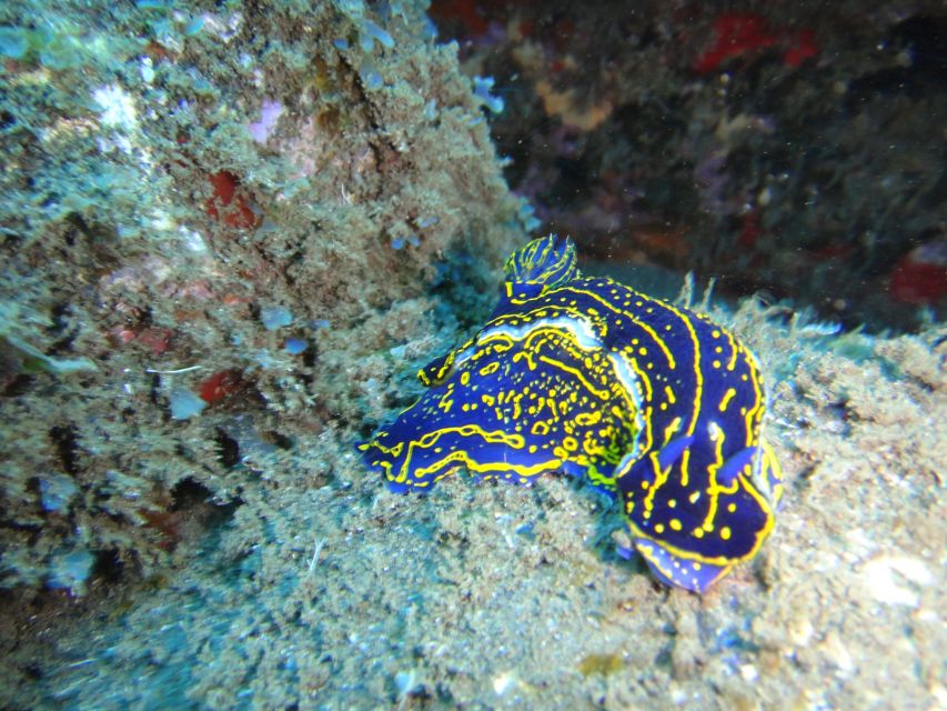 Funchal: Certified Scuba Diving, Guided Tour - What Happens When You’re Back: Changing Room and Hot Shower