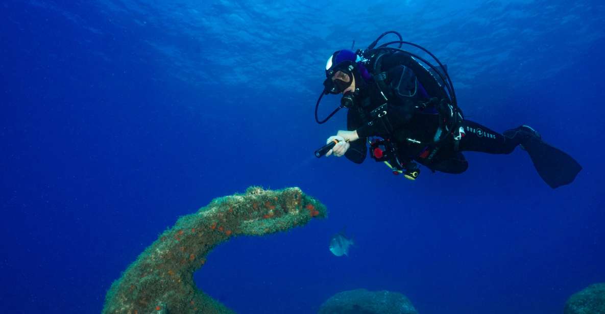 Funchal: Certified Scuba Diving, Guided Tour - Price and Value: Is $33 a Good Deal?