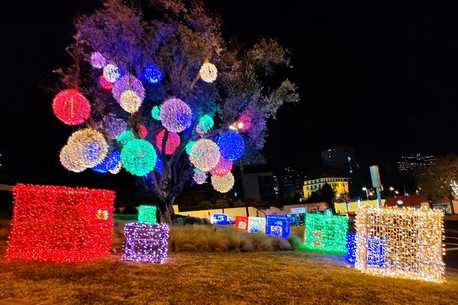 Funchal: Christmas Lights Sightseeing Night Tour - The open-top VW Beetle: fun factor, comfort limits, and wind reality