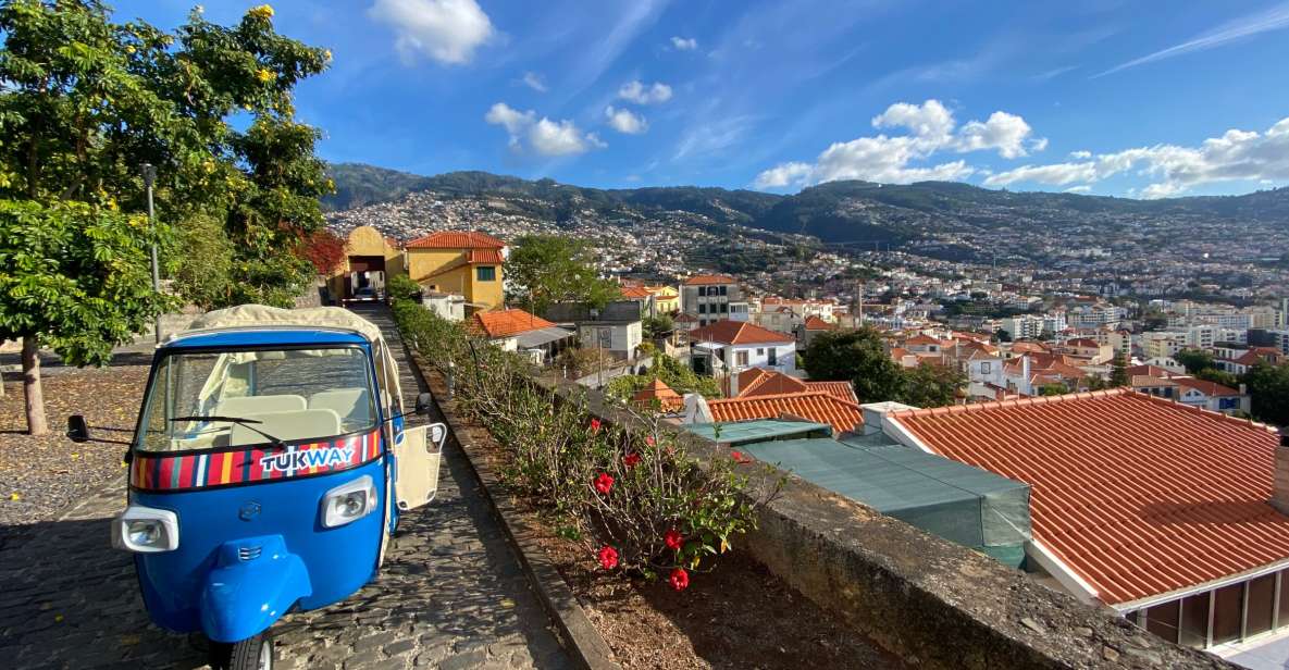 Funchal: City Highlights Tuk-Tuk Tour - Pico dos Barcelos lookout: your first big photo payoff