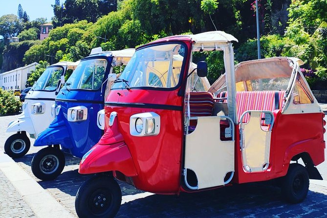 Funchal City Tour + Old Town - A 1-hour tuk-tuk loop that helps you map Funchal fast