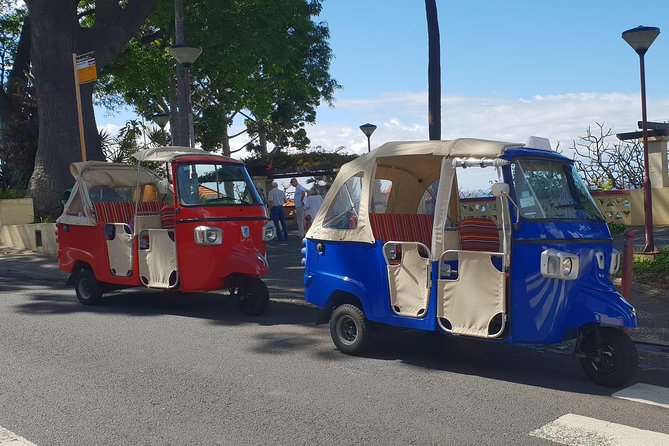 Funchal City Tour + Old Town - The iconic museum and cathedral stops: big landmarks without long waits