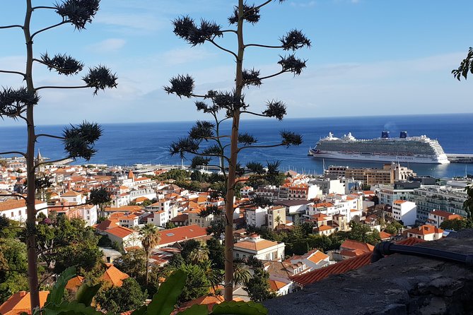 Funchal City Tour + Old Town - Old Town painted doors, walls, and restaurant streets