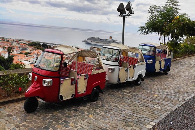 Funchal City Tour + Old Town - Price and value: $38.62 for a guided orientation circuit