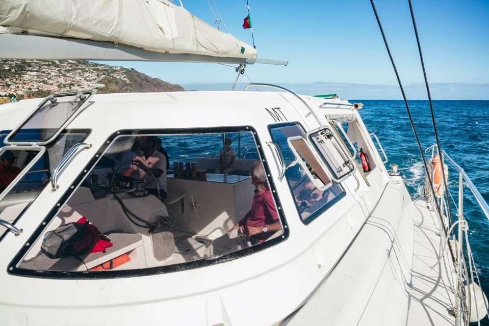 Funchal: Dolphin and Whale Watching by Luxury Catamaran - Key things that make this cruise worth your time