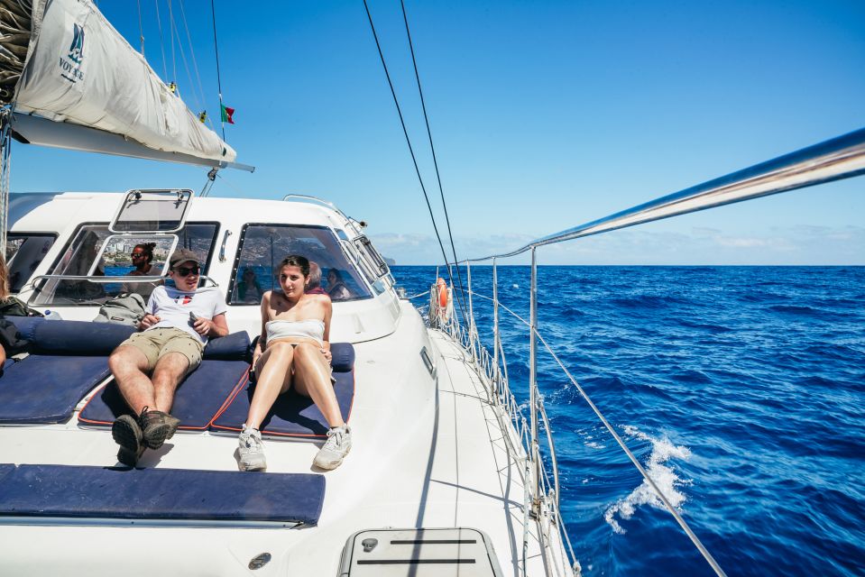 Funchal: Dolphin and Whale Watching by Luxury Catamaran - What to bring and onboard rules that keep it pleasant