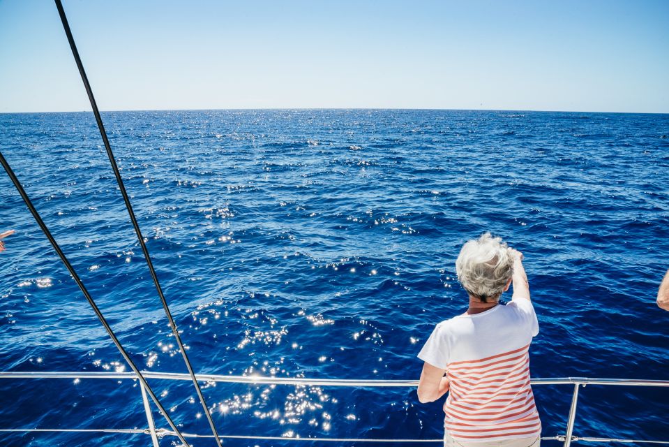 Funchal: Dolphin and Whale Watching by Luxury Catamaran - Leaving Funchal: where dolphins and pilot whales show up