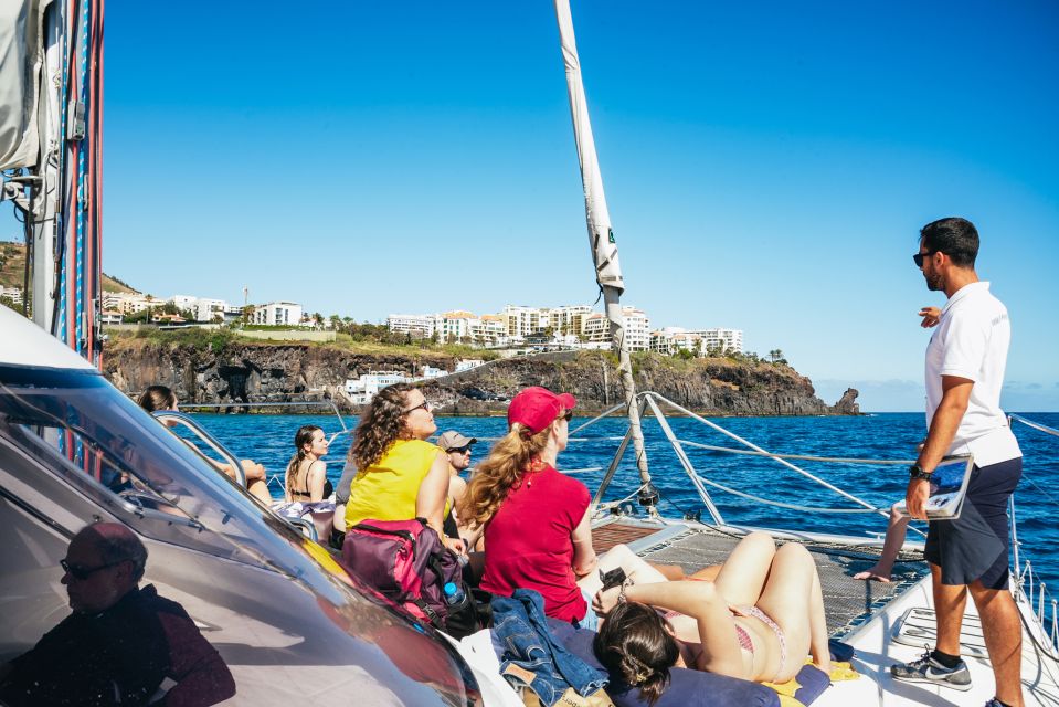 Funchal: Dolphin and Whale Watching by Luxury Catamaran - Swimming stop reality check: summer dips, early-morning tradeoffs