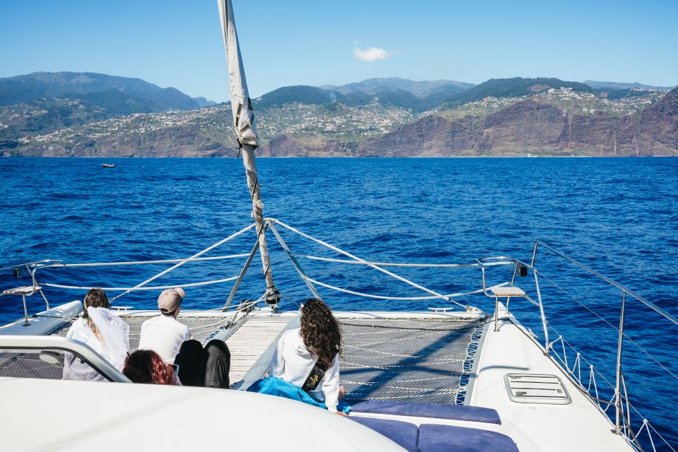 Funchal: Dolphin and Whale Watching by Luxury Catamaran - The crew’s wildlife stories: what you learn from Fabio, Clara, and Natasha