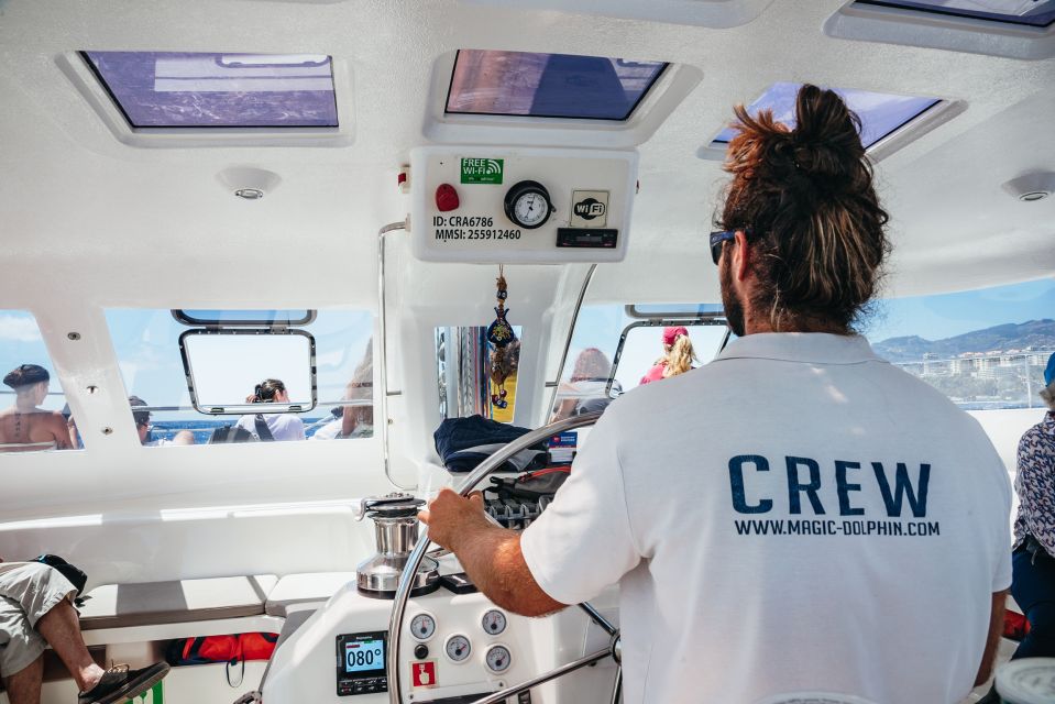 Funchal: Dolphin and Whale Watching by Luxury Catamaran - Price and value: why the $47 number feels fair for what you get