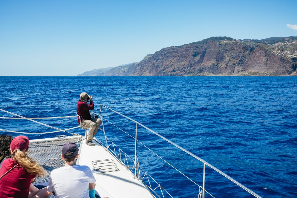 Funchal: Dolphin and Whale Watching by Luxury Catamaran - Who should book this cruise (and who should think twice)