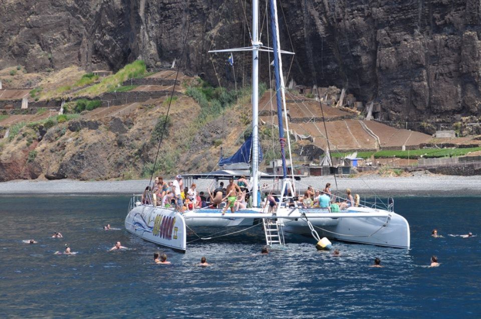 Funchal: Dolphin and Whale Watching Catamaran Cruise - Wildlife watching that respects the animals (and your time)