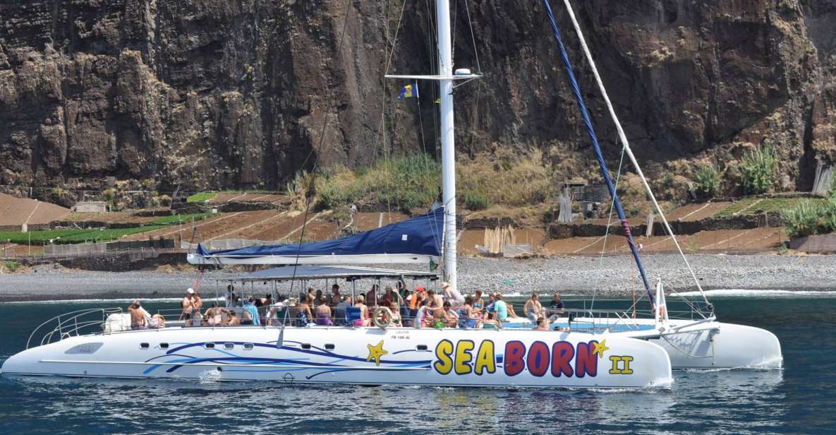 Funchal: Dolphin and Whale Watching Catamaran Cruise - Swim stop and snorkeling: the water break you’ll remember