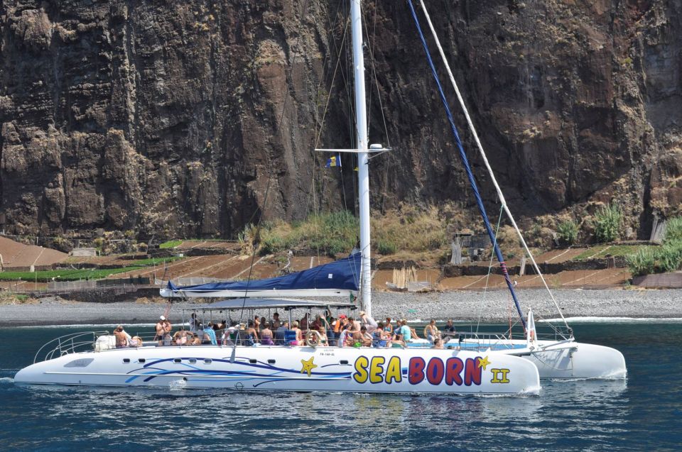 Funchal: Dolphin and Whale Watching Catamaran Cruise - Price and value: why $41 can make sense