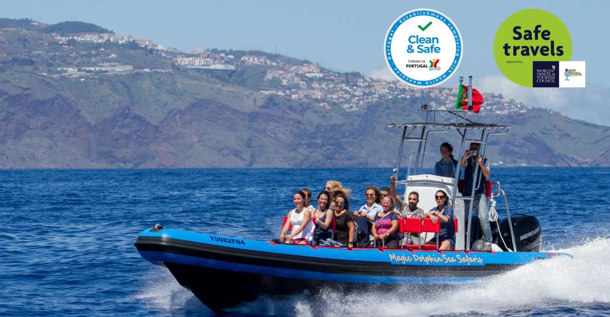 Funchal: Dolphin and Whale Watching Cruise - The Sea Safari makes a difference: speed, closeness, and views