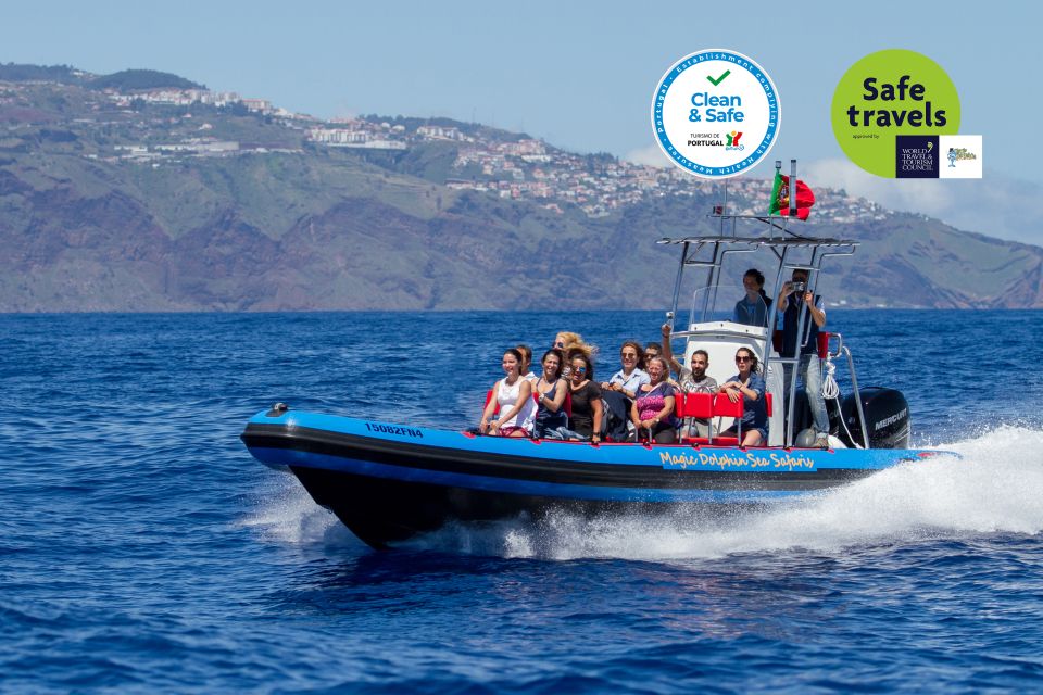 Funchal: Dolphin and Whale Watching Cruise - On the water: how the marine biologist and spotters run the hunt