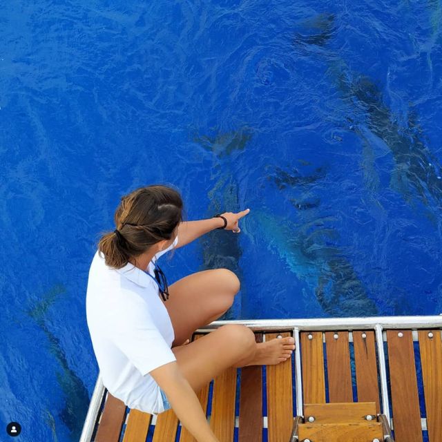 Funchal: Dolphin and Whale Watching Sailing Trip - Key points worth marking