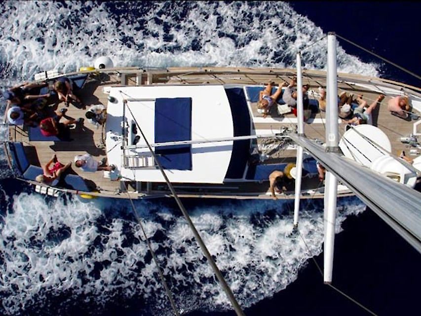 Funchal: Dolphin and Whale Watching Sailing Trip - Who Should Book This Madeira Dolphin and Whale Watching Sail?