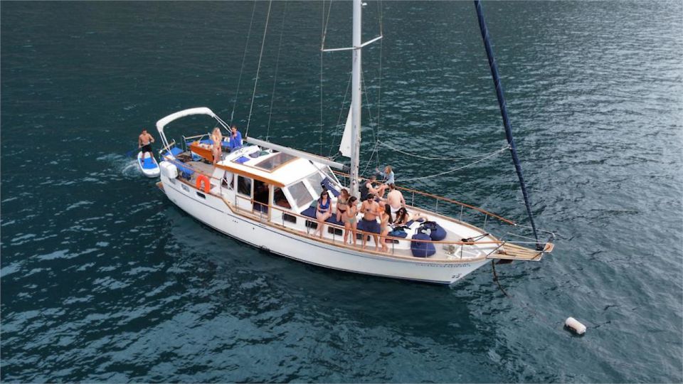 Funchal: Dolphin and Whale Watching Sailing Trip - Wildlife Watching Up to 3 Miles Offshore (What You Can Expect)