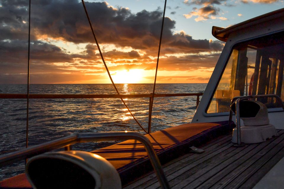 Funchal: Dolphin and Whale Watching Sunset Sailing Tour - Key highlights at a glance
