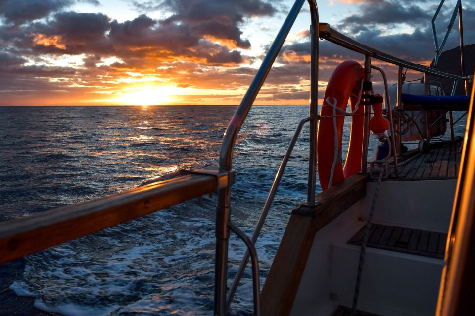 Funchal: Dolphin and Whale Watching Sunset Sailing Tour - Setting Off from Funchal: Meeting Point, Group Size, and What to Bring