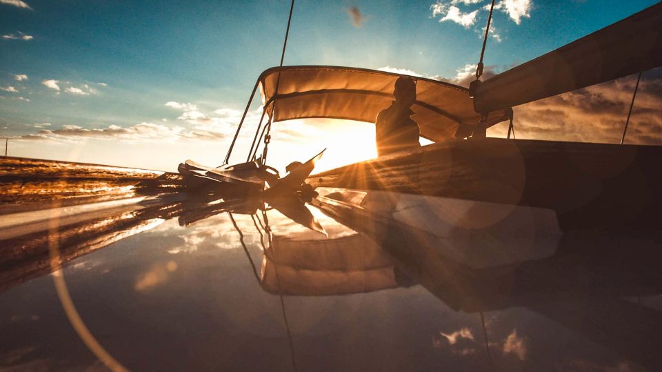 Funchal: Dolphin and Whale Watching Sunset Sailing Tour - Cabo Girão Swim and Snorkel Stop: The Most Scenic Stretch of the Whole Ride