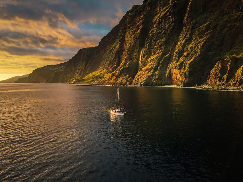 Funchal: Dolphin and Whale Watching Sunset Sailing Tour - Drinks on Board: What the Open Bar Really Means for Your Budget