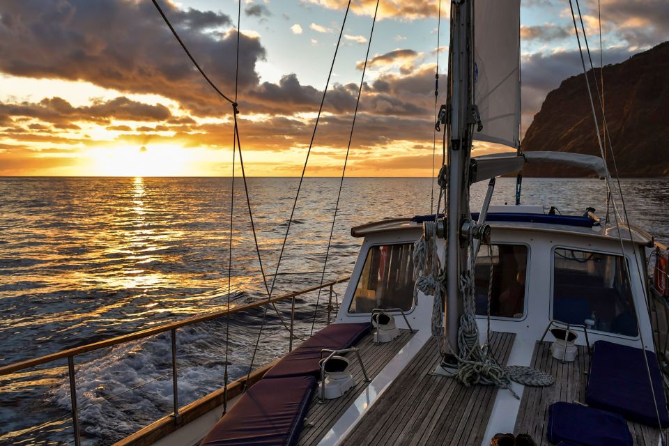 Funchal: Dolphin and Whale Watching Sunset Sailing Tour - Crew Style and Safety: Friendly Hosts, Respectful Wildlife, and Motion at Sea