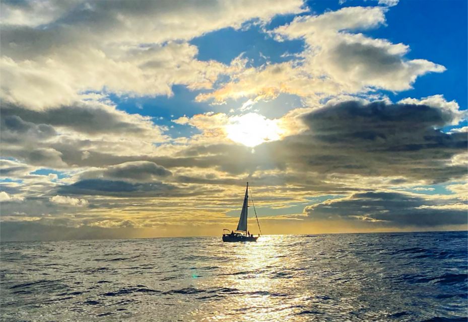 Funchal: Dolphin and Whale Watching Sunset Sailing Tour - Should You Book This Funchal Dolphin and Whale Sunset Sail?